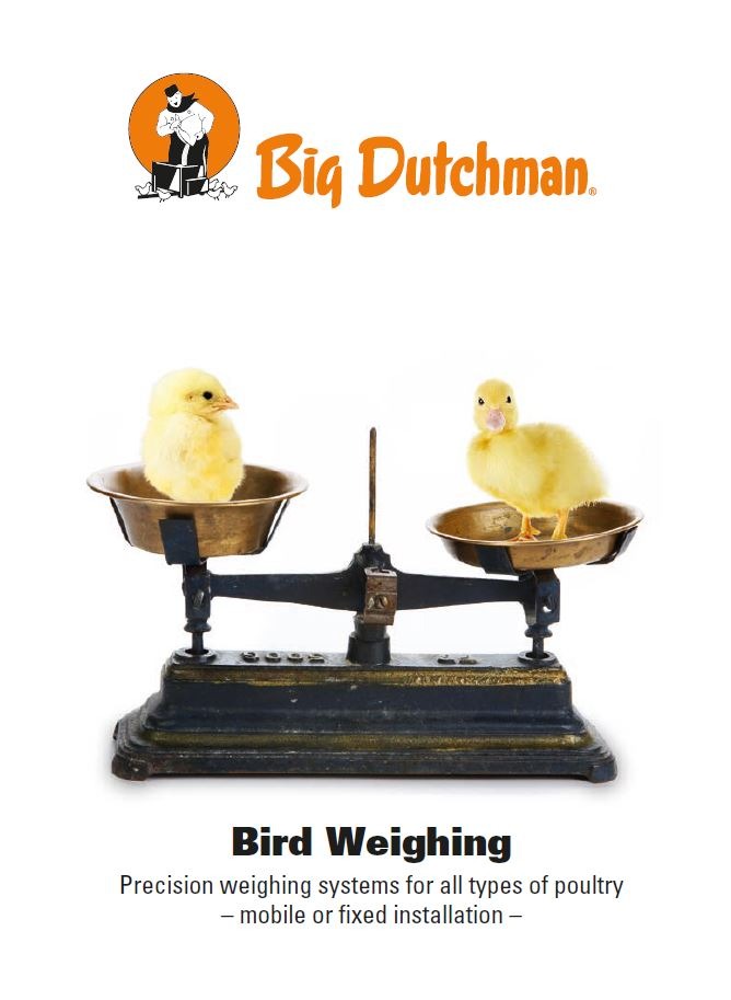 Bird Weighing