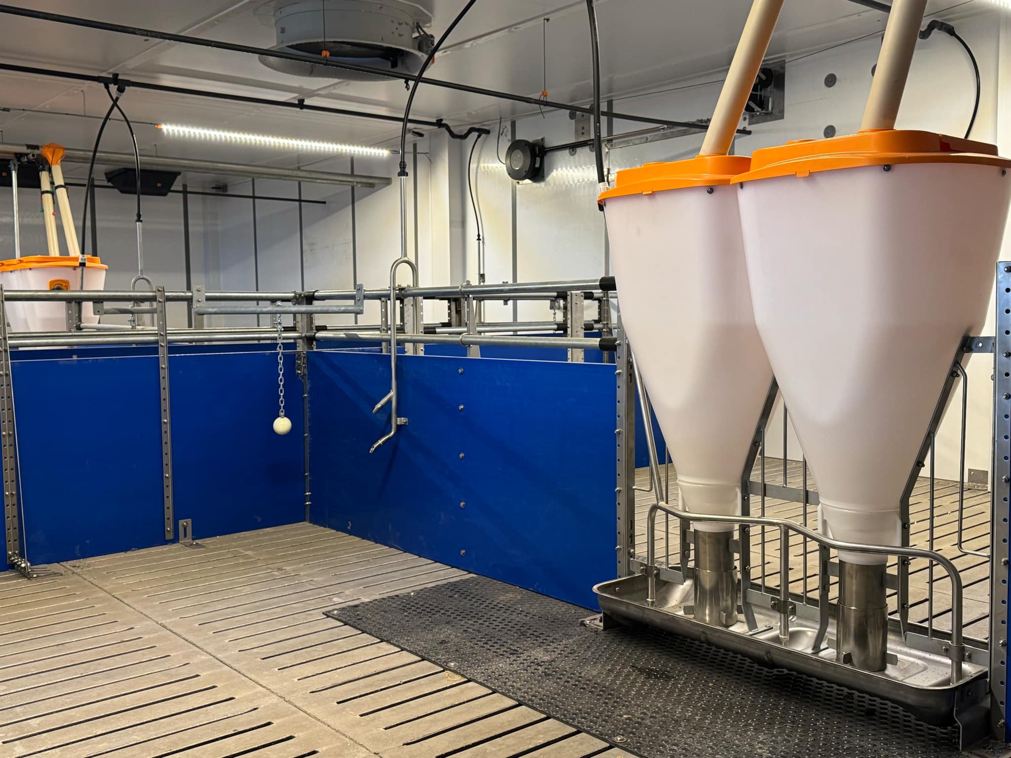 An Innovative Approach to Pig Finishing 